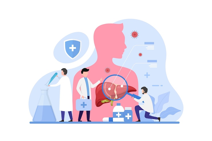 Vetor médico faz conceito de design de exame de fígado