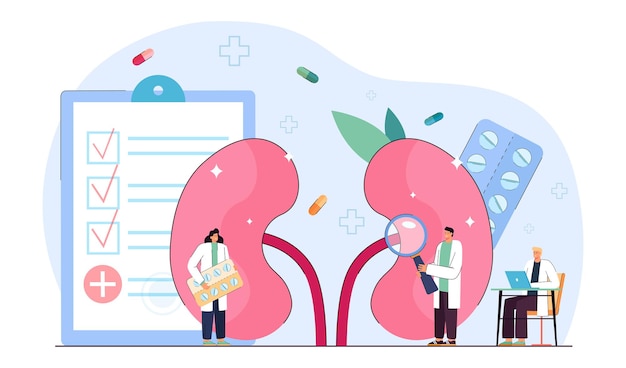 Médicos nefrologistas examinando a saúde renal dos pacientes. Cuidados médicos e tratamento de doenças do sistema urinário de pessoas minúsculas em ilustração vetorial plana hospitalar. Nefrologia, conceito de medicina