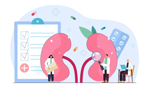 Vetor médicos nefrologistas examinando a saúde renal dos pacientes. cuidados médicos e tratamento de doenças do sistema urinário de pessoas minúsculas em ilustração vetorial plana hospitalar. nefrologia, conceito de medicina