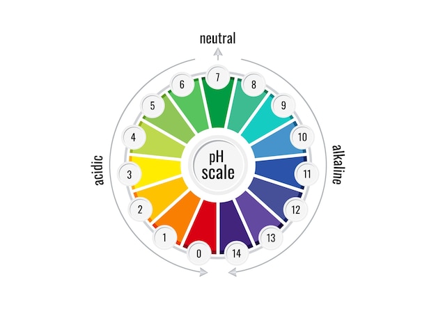 Medidor de gráfico de escala de valor de ph para soluções ácidas e alcalinas isoladas em tiras de teste de cor de fundo branco em ácido de placa redonda e indicador de equilíbrio base infográfico ilustração vetorial plana