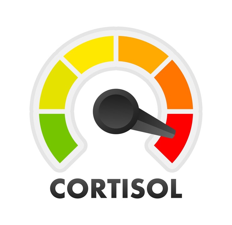 Vetor medidor de nível de cortisol escala de medição indicador de velocímetro de nível de cortisol ilustração de estoque vetorial