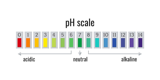 Medidor gráfico de escala de pH para soluções ácidas e alcalinas isoladas em fundo branco