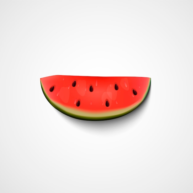 Meia fatia de melancia isolada Ilustração vetorial Símbolo de verão