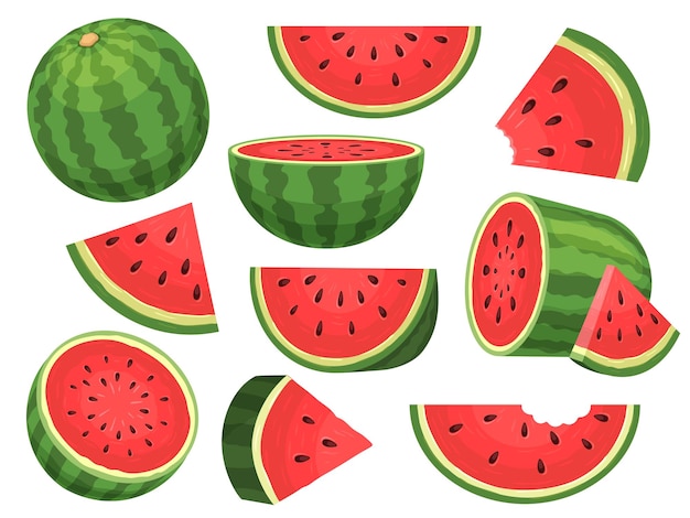 Meias fatias e triângulos de melancia verde fresca de desenho animado pedaço de melancia vermelha com mordida conjunto de vetores de frutas de melão coquetel fatiado