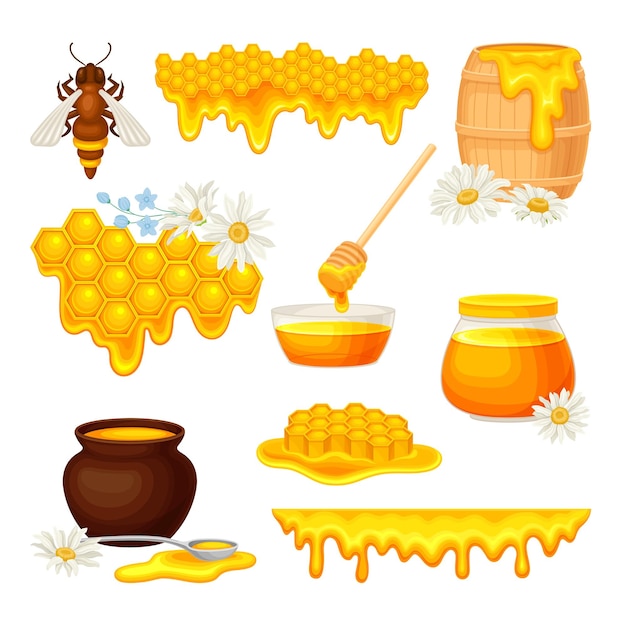 mel com células de cera hexagonal e frasco de vidro derramado com conjunto vetorial de mel