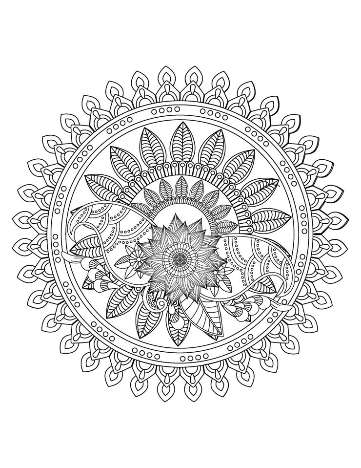 Melhor livro de colorir mandala e mandala de flores para adultos