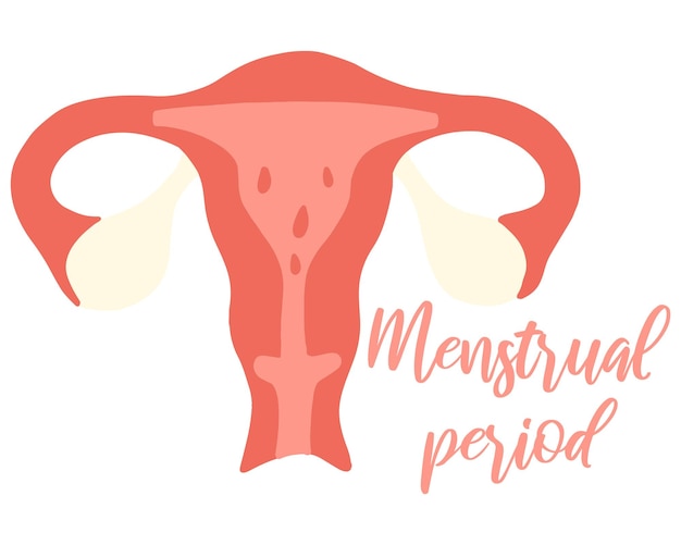 Menstruação feminina banner com período menstrual período menstrual útero ilustração vetorial