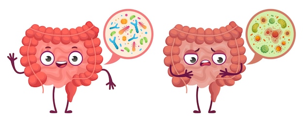 Vetor microflora intestinal. cuidado do sistema digestivo, bactérias intestinais e ilustração dos desenhos animados de probióticos.