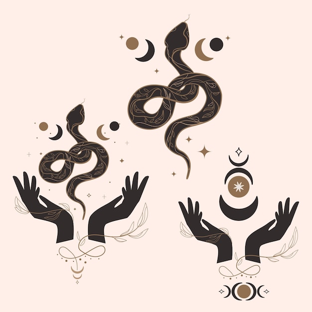 Misto lillustration conjunto com cobra mãos abertas e símbolos celestes fases da lua vetor