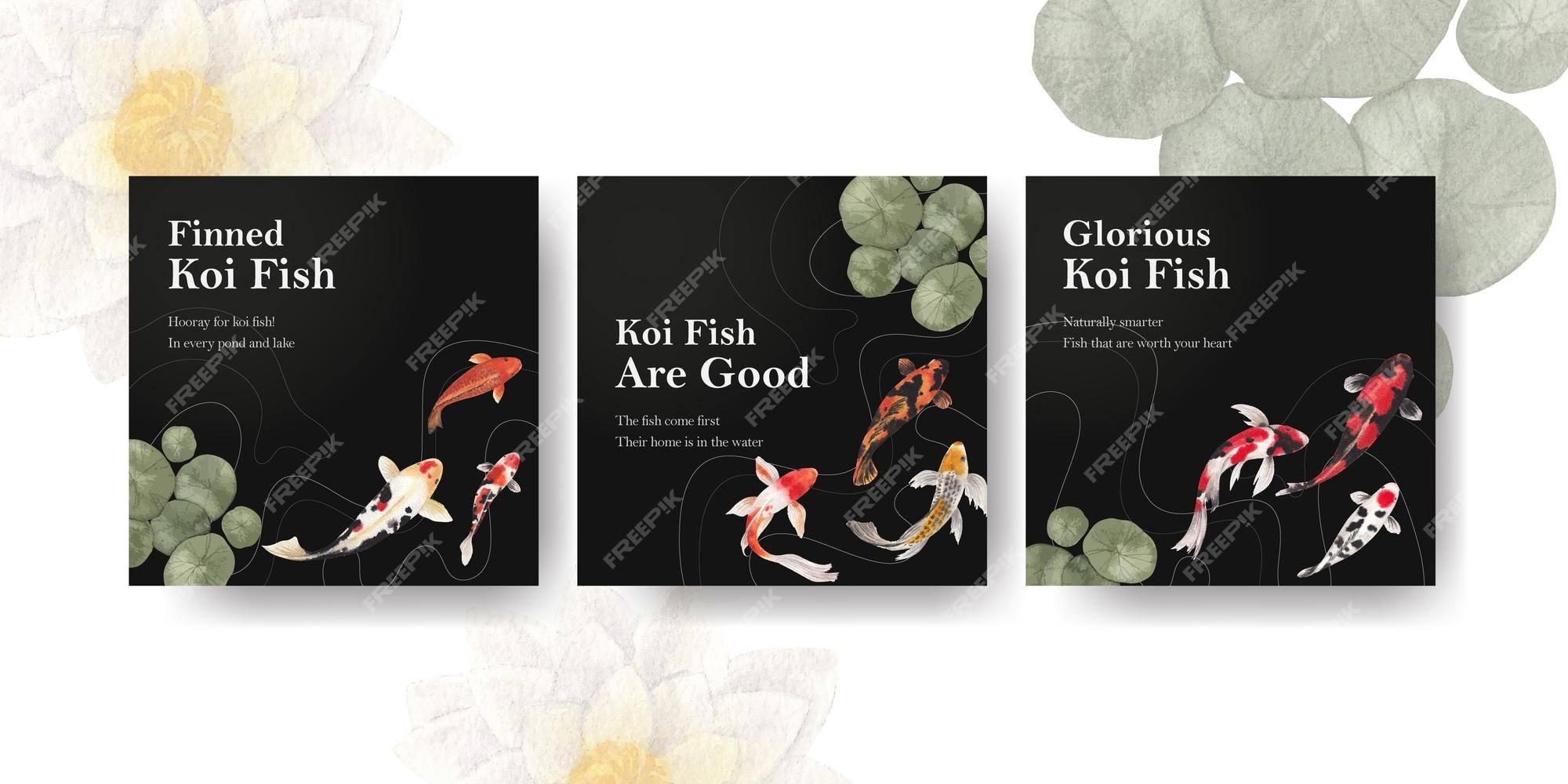 Modelo de facebook com conceito de peixe koi, estilo aquarela.