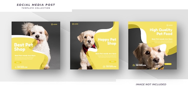 Modelo de banner de mídia social animal de promoção de loja de animais de design