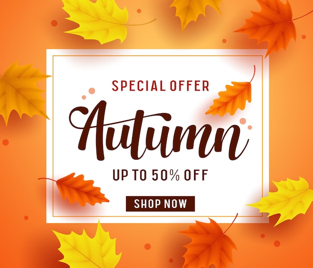 Modelo de banner de oferta especial de outono com espaço em branco para texto e folhas de bordo coloridas da temporada de outono