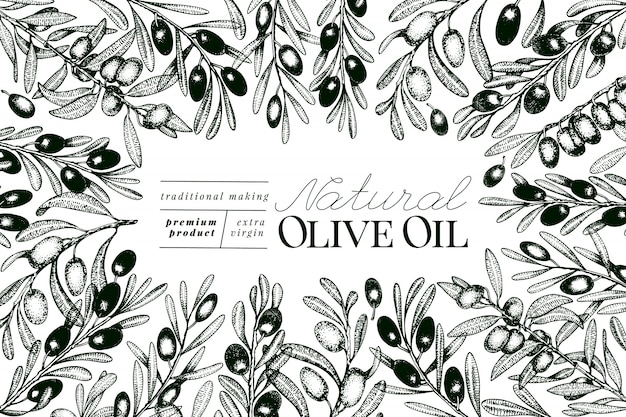 Modelo de banner de oliveira.
