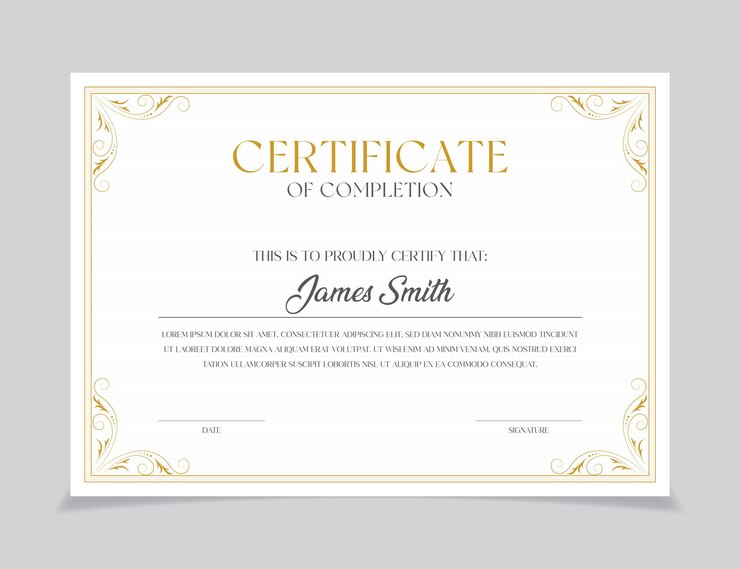 Modelo de certificado Vector em branco Certificados de diploma de projeto Formação empresarial
