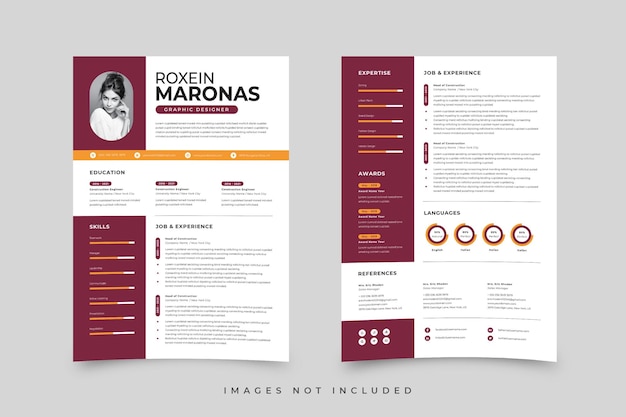 Modelo de currículo infográfico