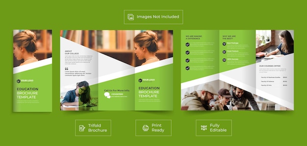 Modelo de design de folheto de negócios com três dobras de educação