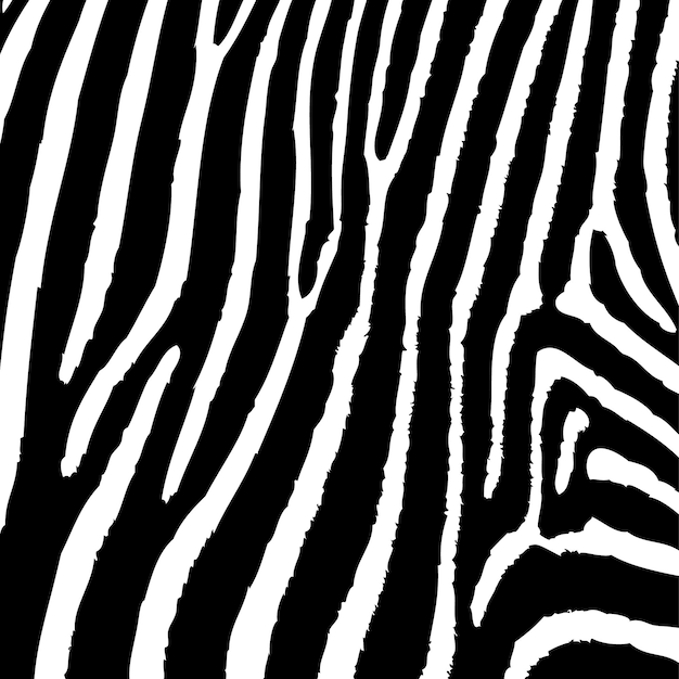 Modelo de design de fundo de padrão de textura animal de zebra