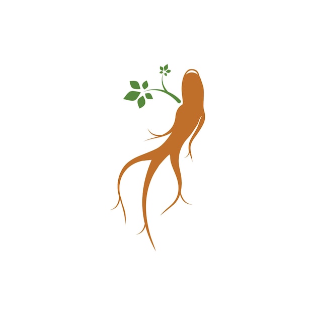 Modelo de design de ilustração de ícone de vetor de ginseng