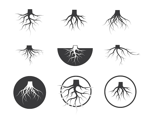 Vetor modelo de design de ilustração de ícone de vetor de raízes de árvore