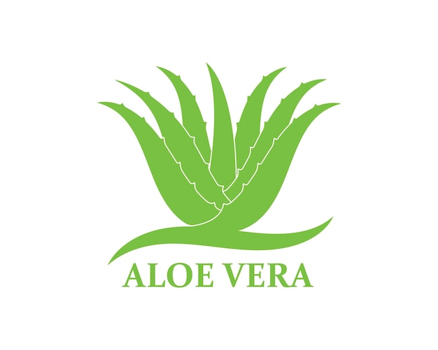 Vetor modelo de design de ilustração vetorial de ícone de logotipo aloevera