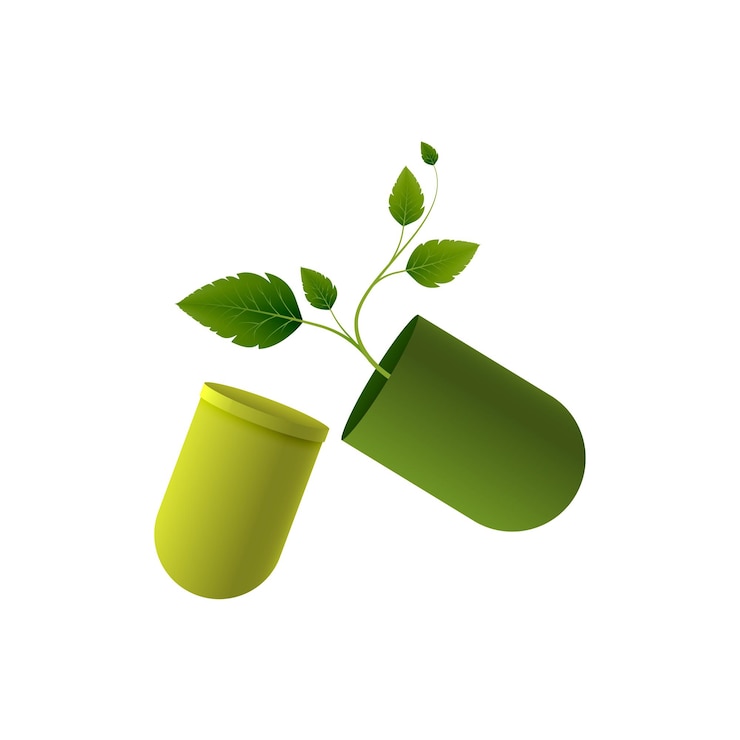 Modelo de design de logotipo de ervas ilustração vetorial