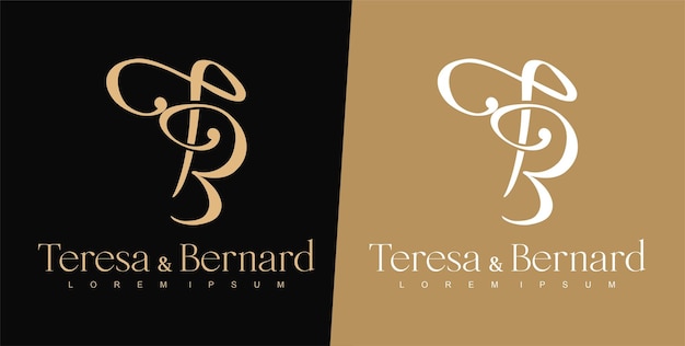 Vetor modelo de design de logotipo de letra t e b logotipo de tipografia de logotipo de casamento