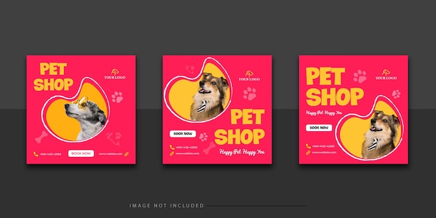 modelo de design de postagem de mídia social de pet shop