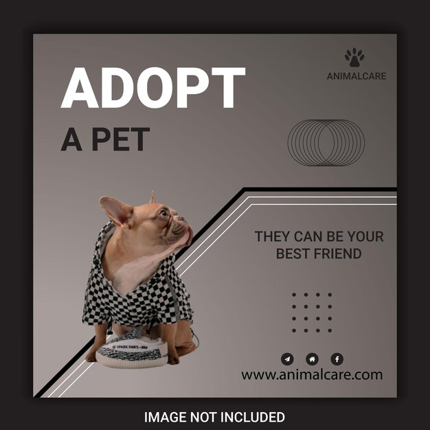 Vetor modelo de design de postagem de mídia social para animais de estimação