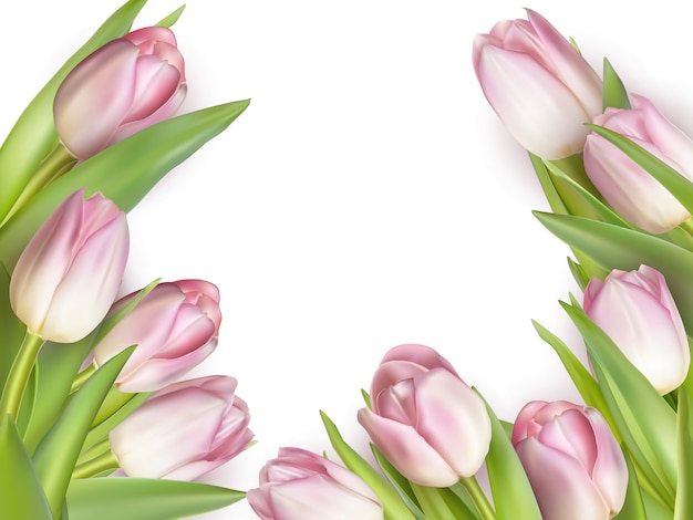 Modelo de design de tulipas ou plano de fundo.