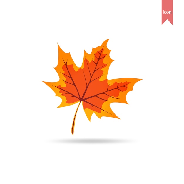 Modelo de design do elemento da folha do outono.