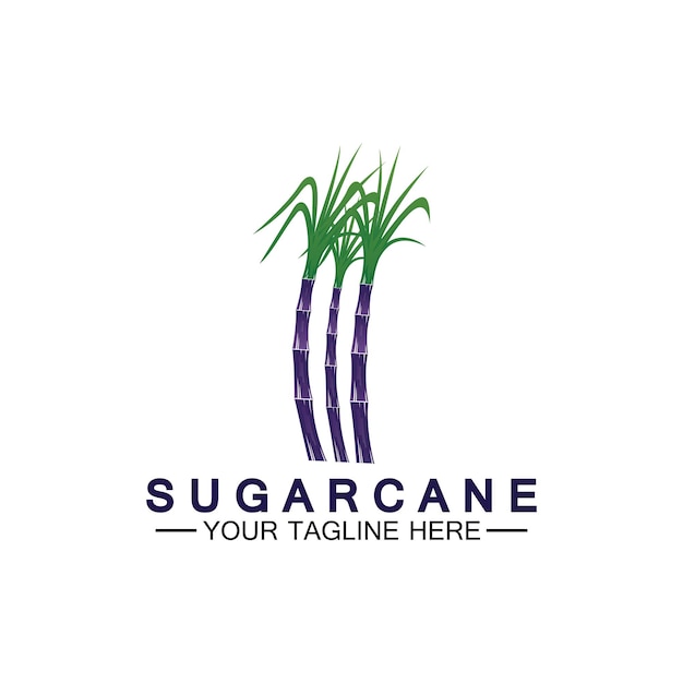 Modelo de design do ícone do logotipo da cana-de-açúcar símbolo ilustração vetorial