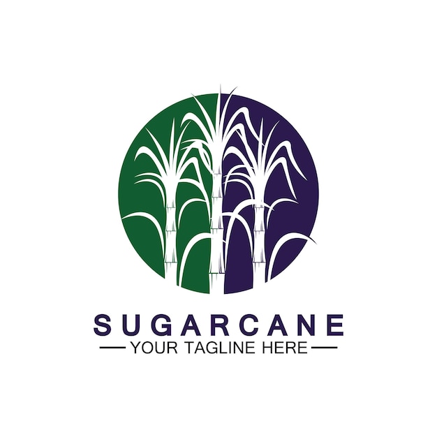 Modelo de design do ícone do logotipo da cana-de-açúcar símbolo ilustração vetorial