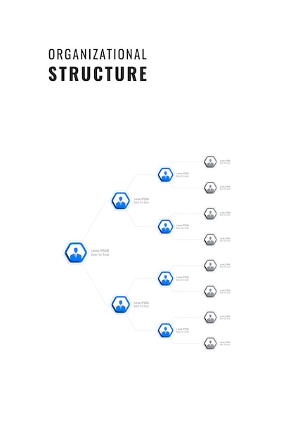 Modelo de estrutura corporativa infográfico com elementos hexagonais azuis em um fundo branco