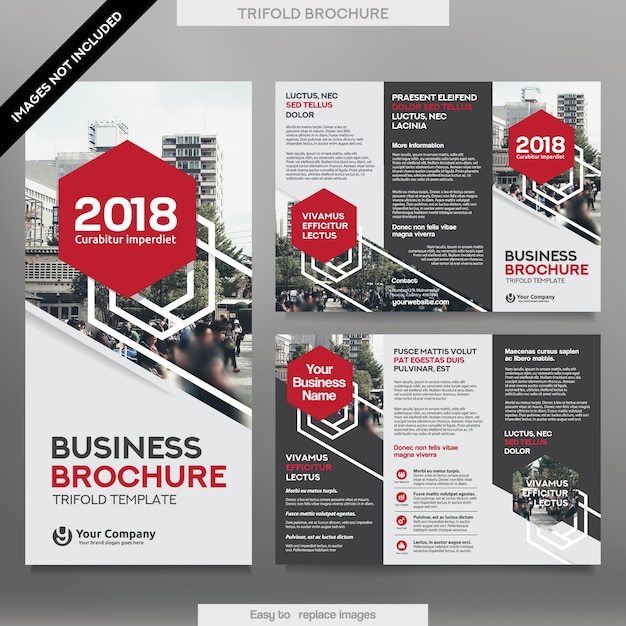 Modelo de folheto de negócios em layout de dobra tri. Folheto de Design Corporativo com imagem substituível.