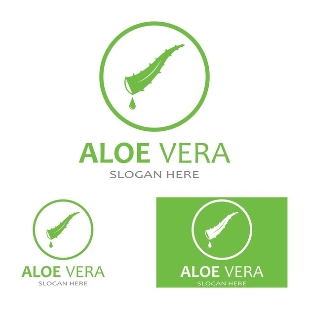 Modelo de ilustração vetorial de logotipo de aloe vera