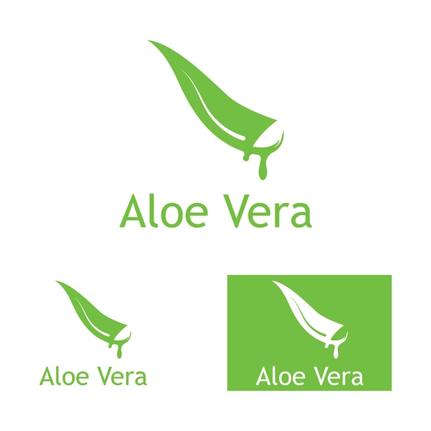 Modelo de ilustração vetorial de logotipo de aloe vera