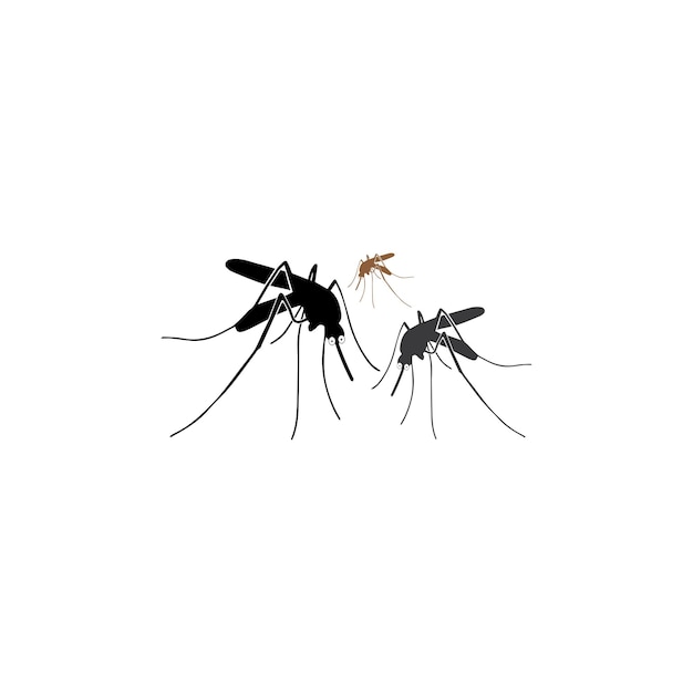 Vetor modelo de ilustração vetorial de logotipo de inseto mosquito