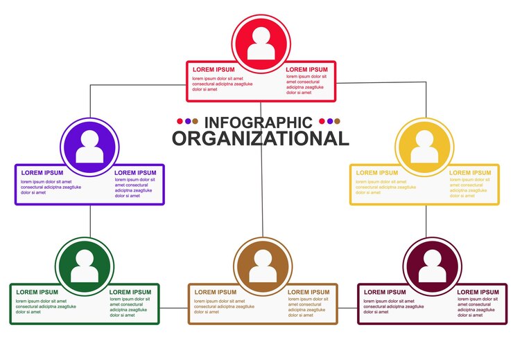 modelo de infografia vetorial organização de uma equipe da empresa do presidente aos membros ordem de membros