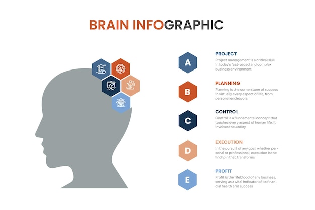 Modelo de infográfico cerebral com gráfico e opções diferentes