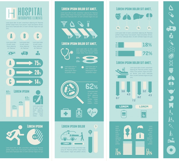 Modelo de infográfico de maternidade.