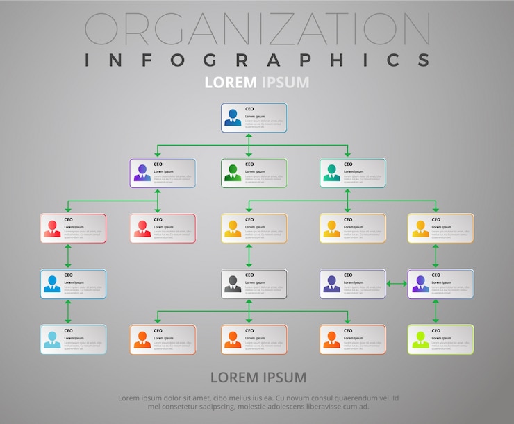 Modelo de infográfico de organização