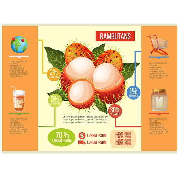 Vetor modelo de infográfico de rambutans