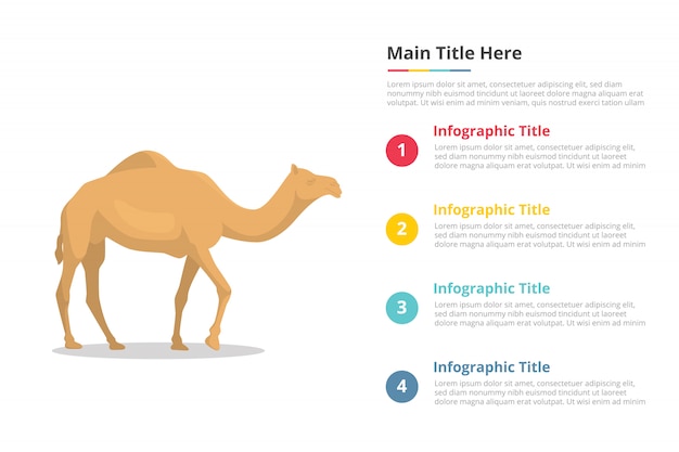 Modelo de infográficos de camelo