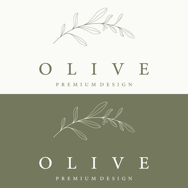 Vetor modelo de logotipo botânico folha de oliveira natural desenhada à mão e frutas azeite de ervas cosmético ou beleza