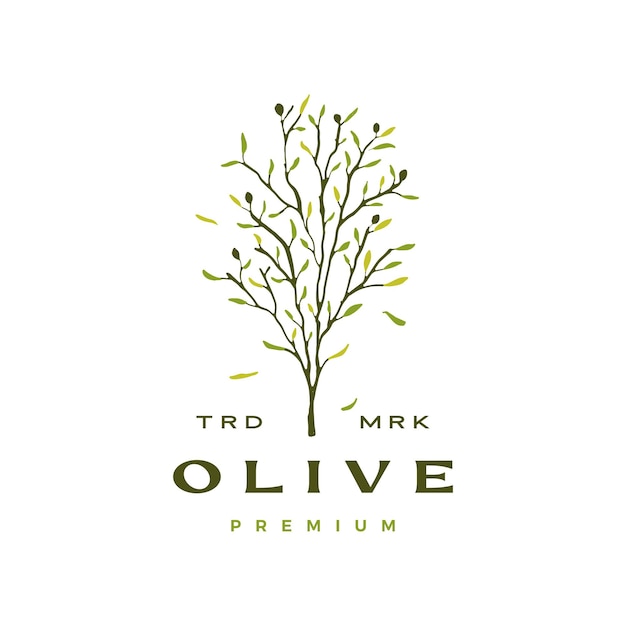 Modelo de logotipo de folha de oliveira