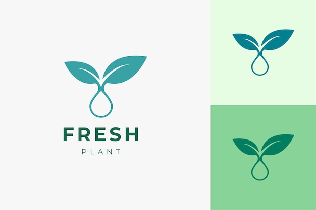 Modelo de logotipo de óleo vegetal simples e limpo para cuidados de saúde ou soro de beleza