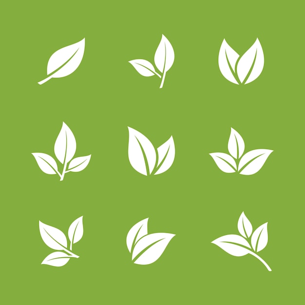 Modelo de logotipo do green leaf vector eco leaves spa