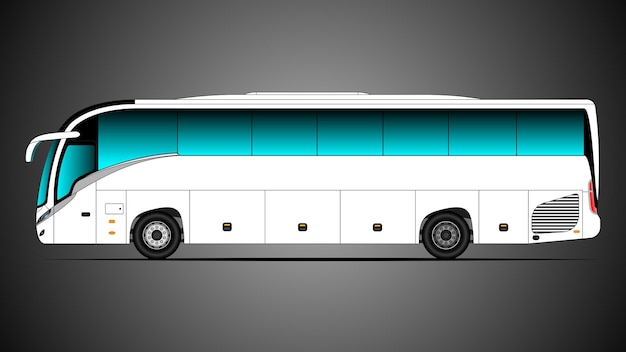 modelo de ônibus