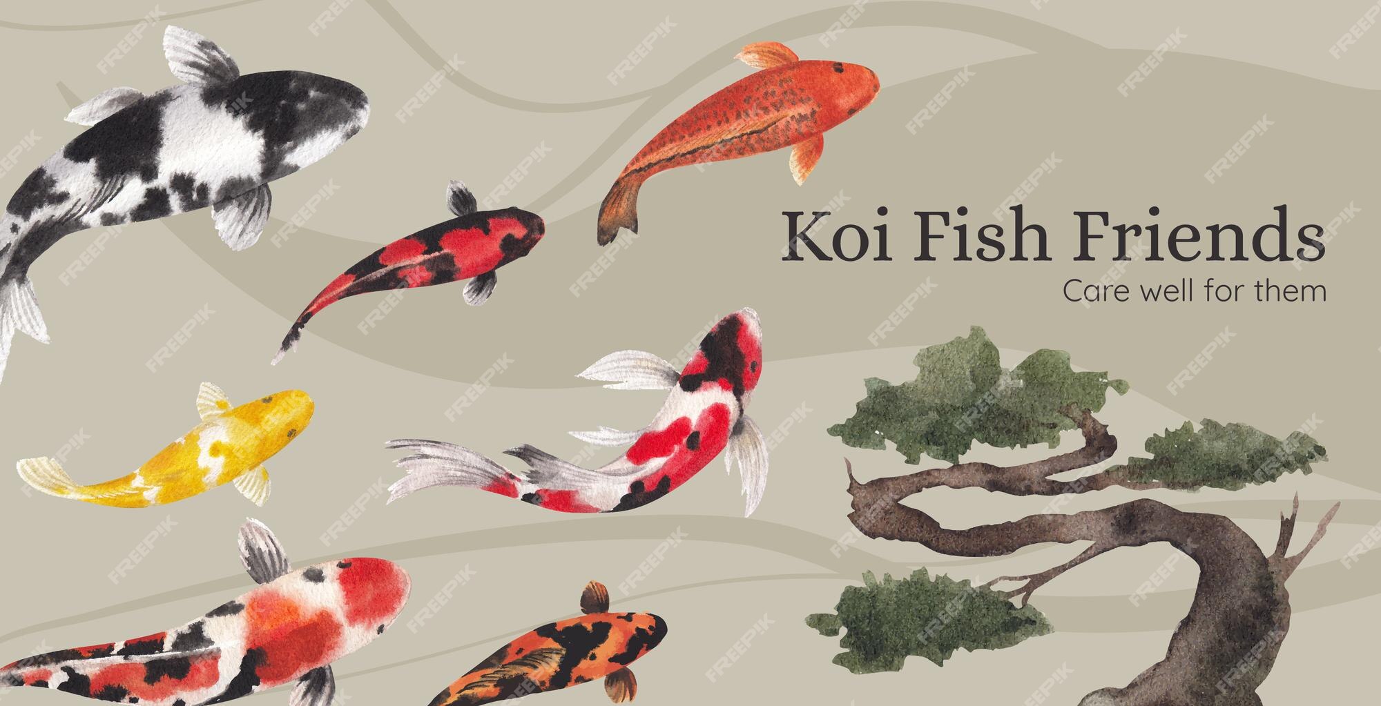 Modelo de facebook com conceito de peixe koi, estilo aquarela.