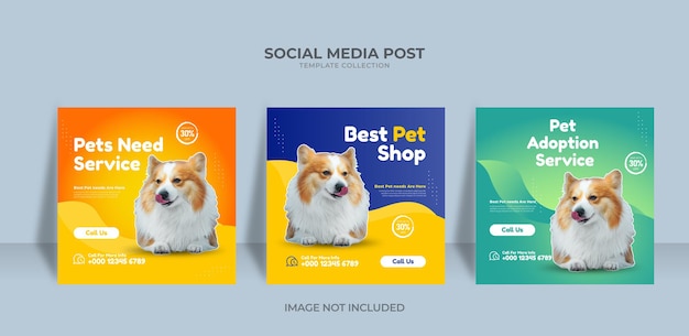 Modelo de postagem do instagram para design de pet shop